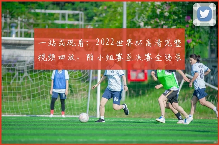 一站式观看：2022世界杯高清完整视频回放，附小组赛至决赛全场录像