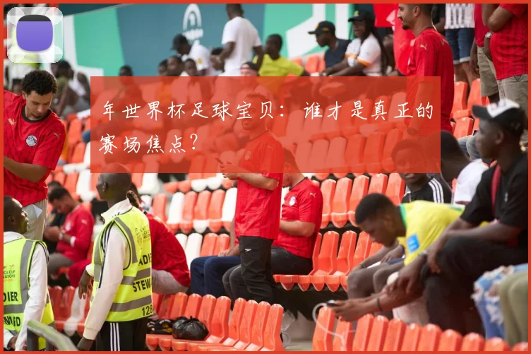 年世界杯足球宝贝：谁才是真正的赛场焦点？