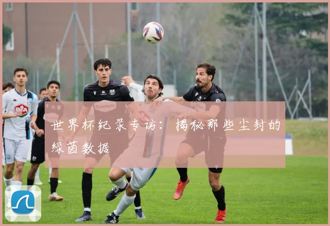 世界杯纪录专访:揭秘那些尘封的绿茵数据