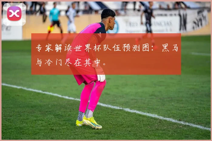 专家解读世界杯队伍预测图:黑马与冷门尽在其中。
