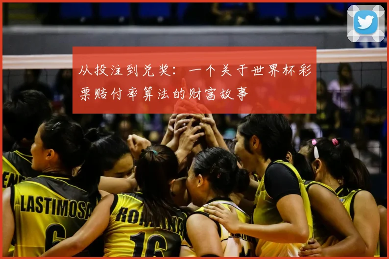 从投注到兑奖：一个关于世界杯彩票赔付率算法的财富故事