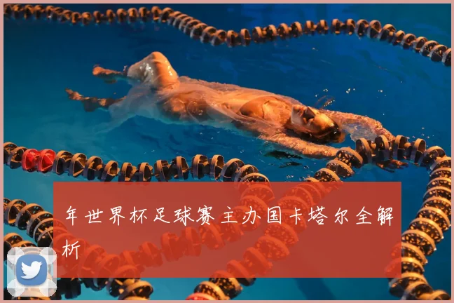 年世界杯足球赛主办国卡塔尔全解析