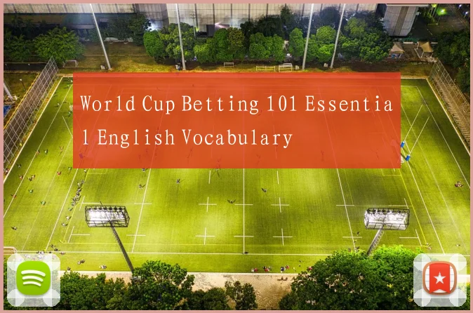 World Cup Betting 101 Essential English Vocabulary