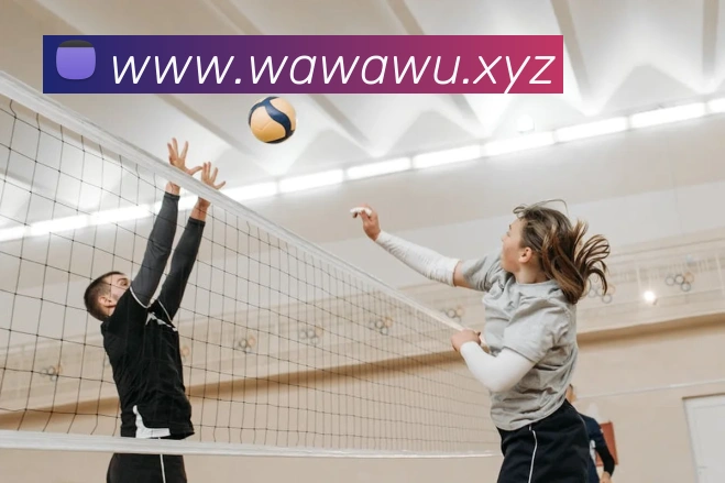 多媒体互动体验